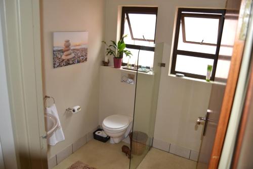 een badkamer met een toilet en een glazen douche bij Panache in Hoedspruit