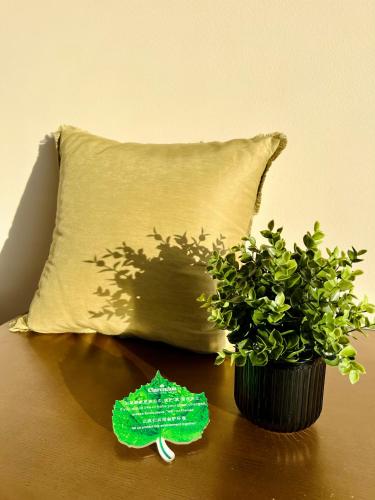 a table with a pillow and a potted plant at Clarendon Hotel in Melbourne