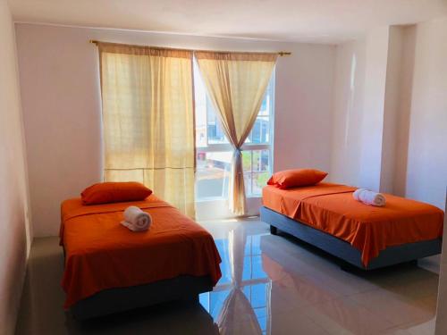 プエルト・バケリソ・モレノにあるPelican Houseの窓付きの客室で、ベッド2台が備わります。