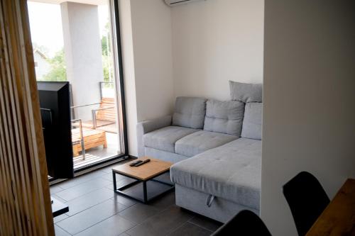 sala de estar con sofá y mesa en Apartments Sunrise Banovci, en Banovci