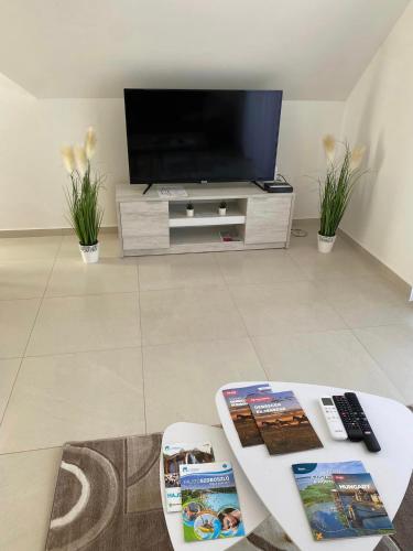 TV a/nebo společenská místnost v ubytování Jókai Apartmanház-Hajdúszoboszló
