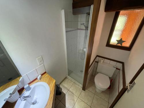 a bathroom with a sink and a shower and a toilet at LE MONTAGNARD bel appartement avec jardin dans vieille ferme de montagne rénovée in Les Orres