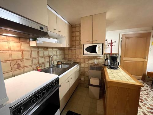 une petite cuisine avec un évier et une cuisinière dans l'établissement GENTIANES 0-Studio basic proche pistes 4 pers, à La Clusaz