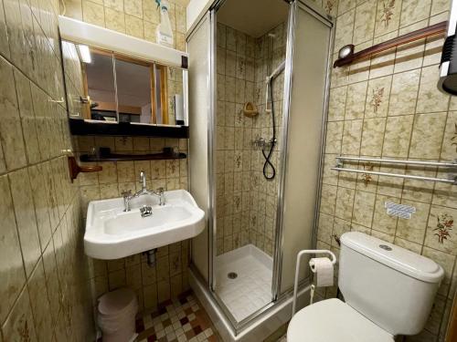 une salle de bain avec un lavabo, des toilettes et une douche dans l'établissement GENTIANES 0-Studio basic proche pistes 4 pers, à La Clusaz