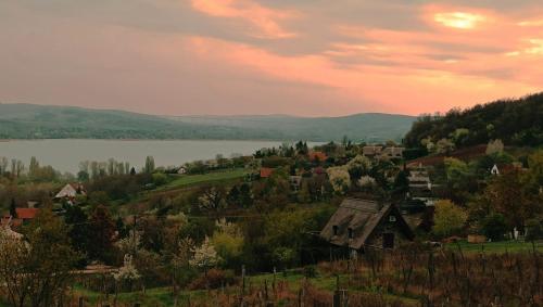 vista su un villaggio con un lago sullo sfondo di Boti Hill Natural a Tihany