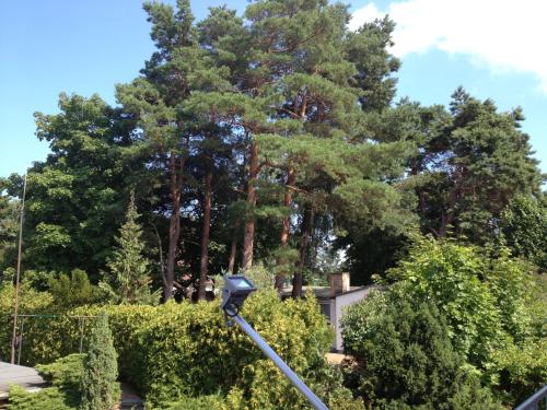 a street light in a yard with trees at Haus Stoertebeker Appartements - Hotel Garni, Seebad Lubmin in Lubmin