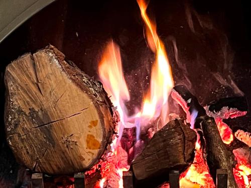 a fire in an oven with flames and logs at Villa Monrepos in Myoko