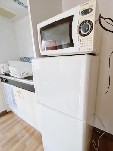 a microwave sitting on top of a refrigerator at PINE TREE HOTEL in Hiroshima