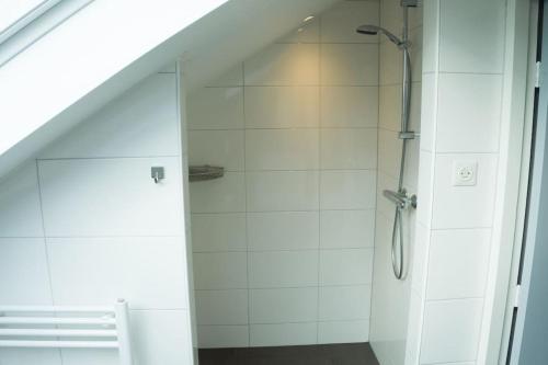 y baño con ducha y puerta de cristal. en Vakantiehuis Oostendorp, en Meddoo