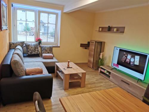 uma sala de estar com um sofá e uma televisão em Gästewohnung Schönfeld em Frohburg