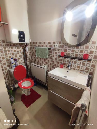 une salle de bain avec toilettes, lavabo et miroir dans l'établissement Studio avec parking face a la gare, à Nevers