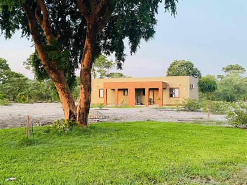 ein Haus mit einem Baum davor in der Unterkunft NAMU Apartments in Katima Mulilo