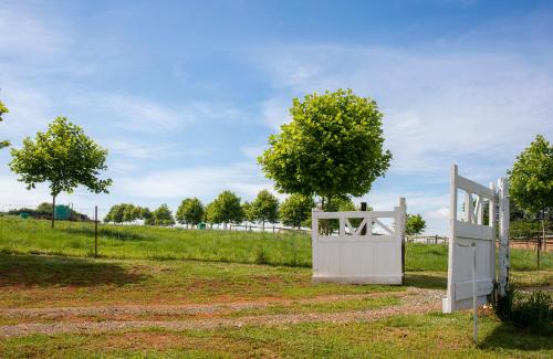 a white gate in a field with a tree at Springvale Farm in Nottingham Road