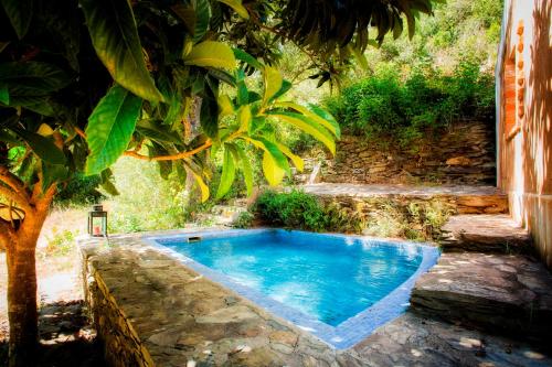 a small swimming pool in a yard next to a tree at Casas da Cerca in Troviscais