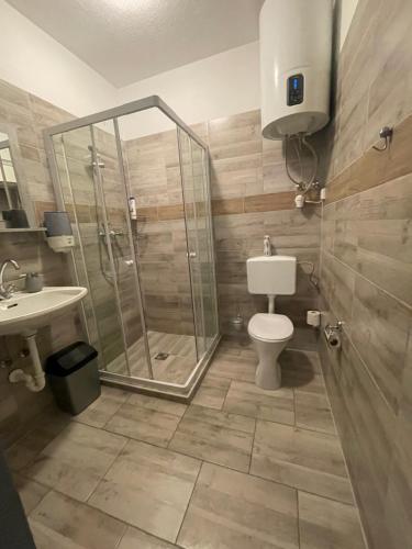 a bathroom with a shower and a toilet and a sink at Privatzimmer Hammrich in Neudörfl