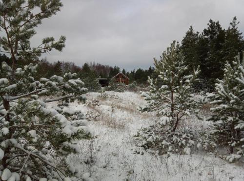 a house in a field with trees and snow at Valipe Puhkemaja in Valipe