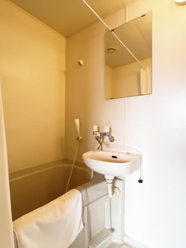 a bathroom with a sink and a mirror at PINE TREE HOTEL in Hiroshima