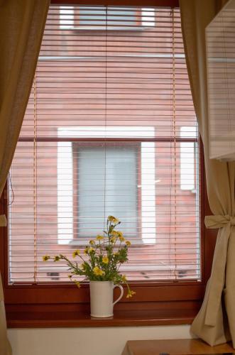 a window with a potted plant sitting on a window sill at Chata Soukenná in Dolní Moravice