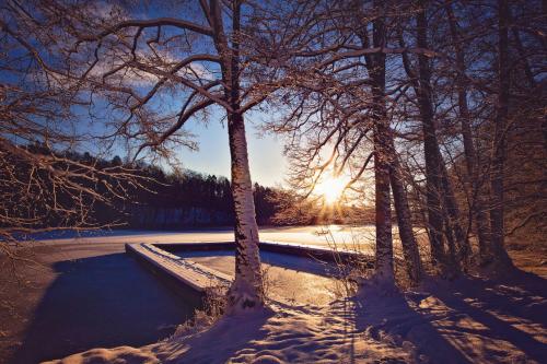 a winter scene with the sun shining through the trees at Winiec Family Houses in Winiec