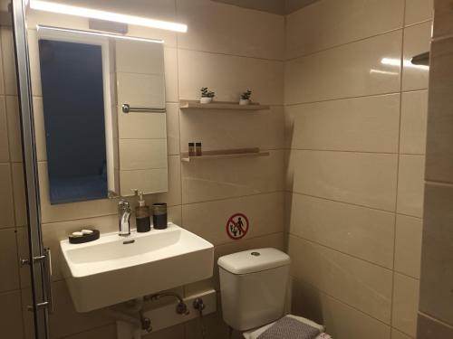 a bathroom with a sink and a toilet and a mirror at Secret Garden Hotel in Maleme