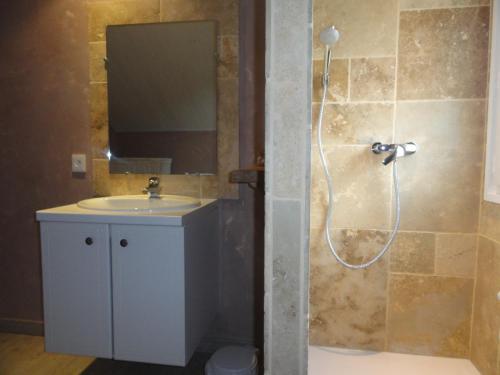 リュス・サン・ソヴァールにあるChez Corine Marque Bastampeのバスルーム(シンク、鏡付きシャワー付)
