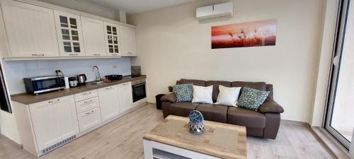 プルチャニにあるBay of Kotor View Apartment with poolのソファとキッチンのあるリビングルーム