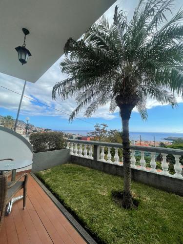 a palm tree on the balcony of a house at Valhalla Panorama in Funchal