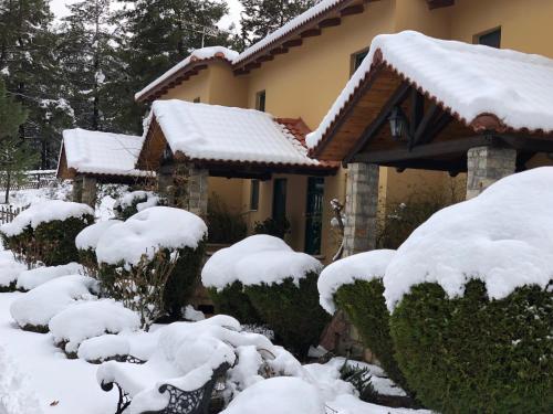 冬のAphrodite's Inn Kalavritaの様子