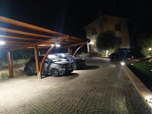 Gambar di galeri bagi La Folaga del Trasimeno di Magione
