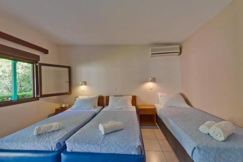 two twin beds in a room with a mirror at Olympios Zeus in Plaka Litochorou