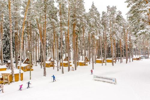 a group of people skiing through a forest in the snow at Tartumaa Tervisespordikeskus in Uderna