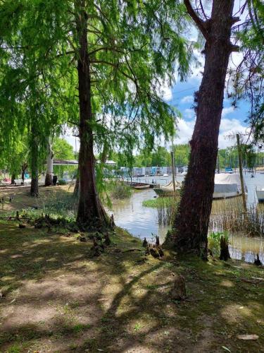 Paraiso Flotante – Photos 3