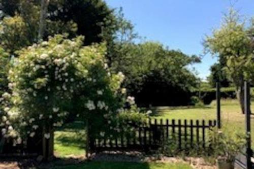 a garden with a fence and a tree with flowers at The Snuggery Broadclyst in Exeter