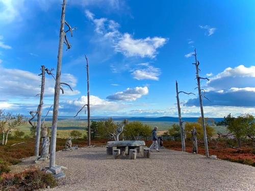 a park with a picnic table and trees at Arctic Lodges Lapland Ski In Family Studio, Wi-Fi, National Park - Lapland Villas in Pyhätunturi