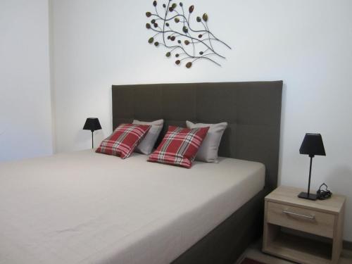 Schlafzimmer mit einem Bett mit roten und weißen Kissen in der Unterkunft Alpeneer in Lackenhof