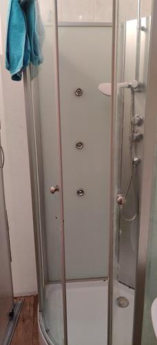 W łazience znajduje się prysznic ze szklanymi drzwiami. w obiekcie Atypique Studio en Duplex w mieście Châlette-sur-Loing