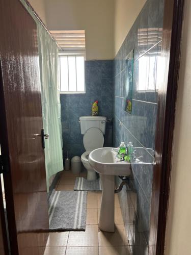 uma casa de banho com um WC e um lavatório em Le Vert Homes em Kampala