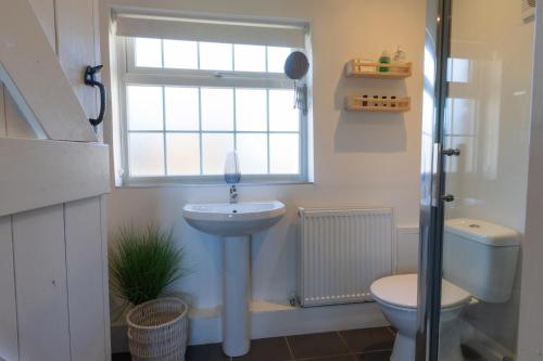 uma casa de banho com um lavatório, um WC e uma janela. em The Orchards em Kendal