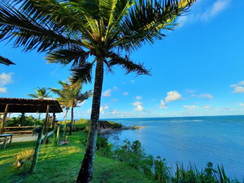 a palm tree in front of the ocean at Pousada Azul com vistas maravilhosas in Cumuruxatiba
