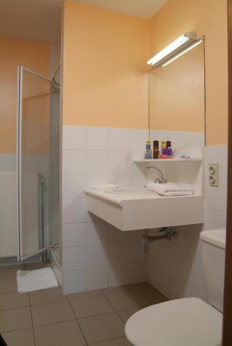 a bathroom with a sink and a toilet and a mirror at Park Merlo in Bredene