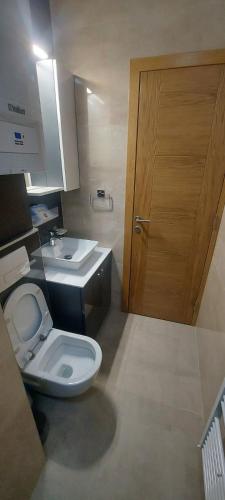 ein Bad mit einem WC, einem Waschbecken und einer Tür in der Unterkunft Apartment Babin Do in Bjelašnica