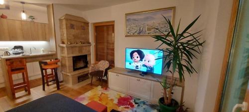 ein Wohnzimmer mit einem Flachbild-TV auf der Theke in der Unterkunft Apartment Babin Do in Bjelašnica