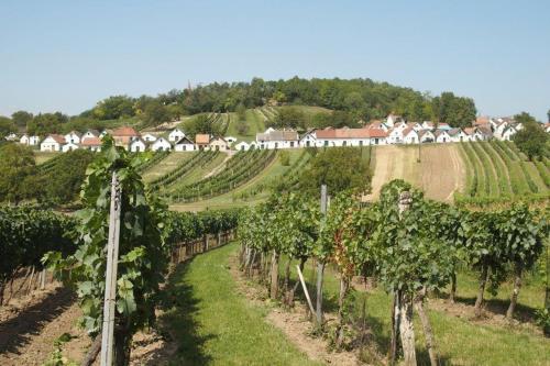 a vineyard with a village in the background at Gästehaus Weinviertel - Niederösterreich in Siebenhirten
