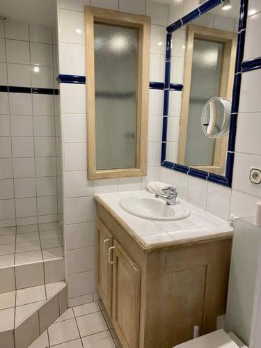 une salle de bain avec un lavabo et une douche dans l'établissement Le Roseau - en plein coeur historique, à Annecy