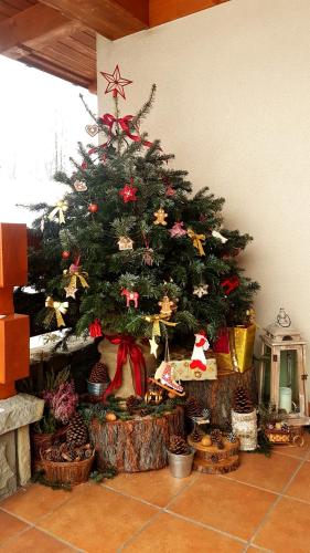 a christmas tree in a living room withbons and presents at Leśny Dworek Zakopane in Zakopane