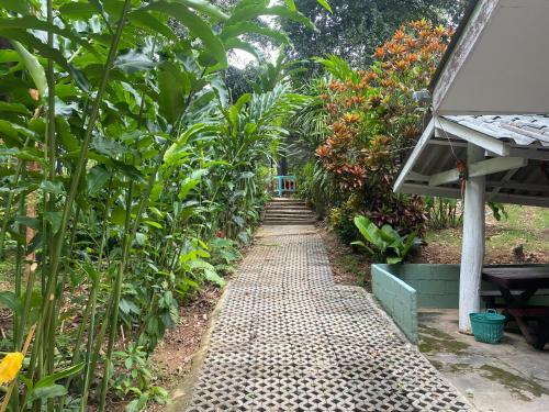 a walkway in a garden with plants at ทับศิลารีสอร์ท Tubsila Resort in Chongsadao