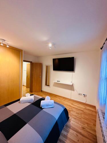 a room with two beds and a flat screen tv at Apartamento Lozano in Parzán