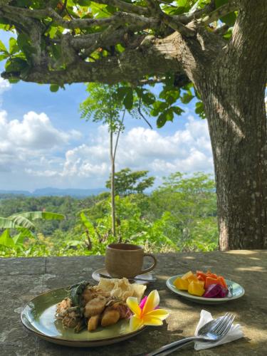 zwei Teller Essen auf einem Tisch unter einem Baum in der Unterkunft Geriasemalung in Tirtagangga