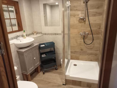 uma casa de banho com um chuveiro, um lavatório e um WC. em L'Atelier de Pierre Gîte Atypique em Saint-Cyr