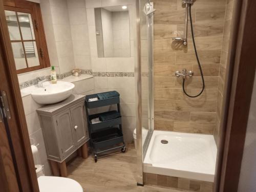 a bathroom with a shower and a sink and a toilet at "L'Atelier de Pierre" Gîte Atypique in Saint-Cyr